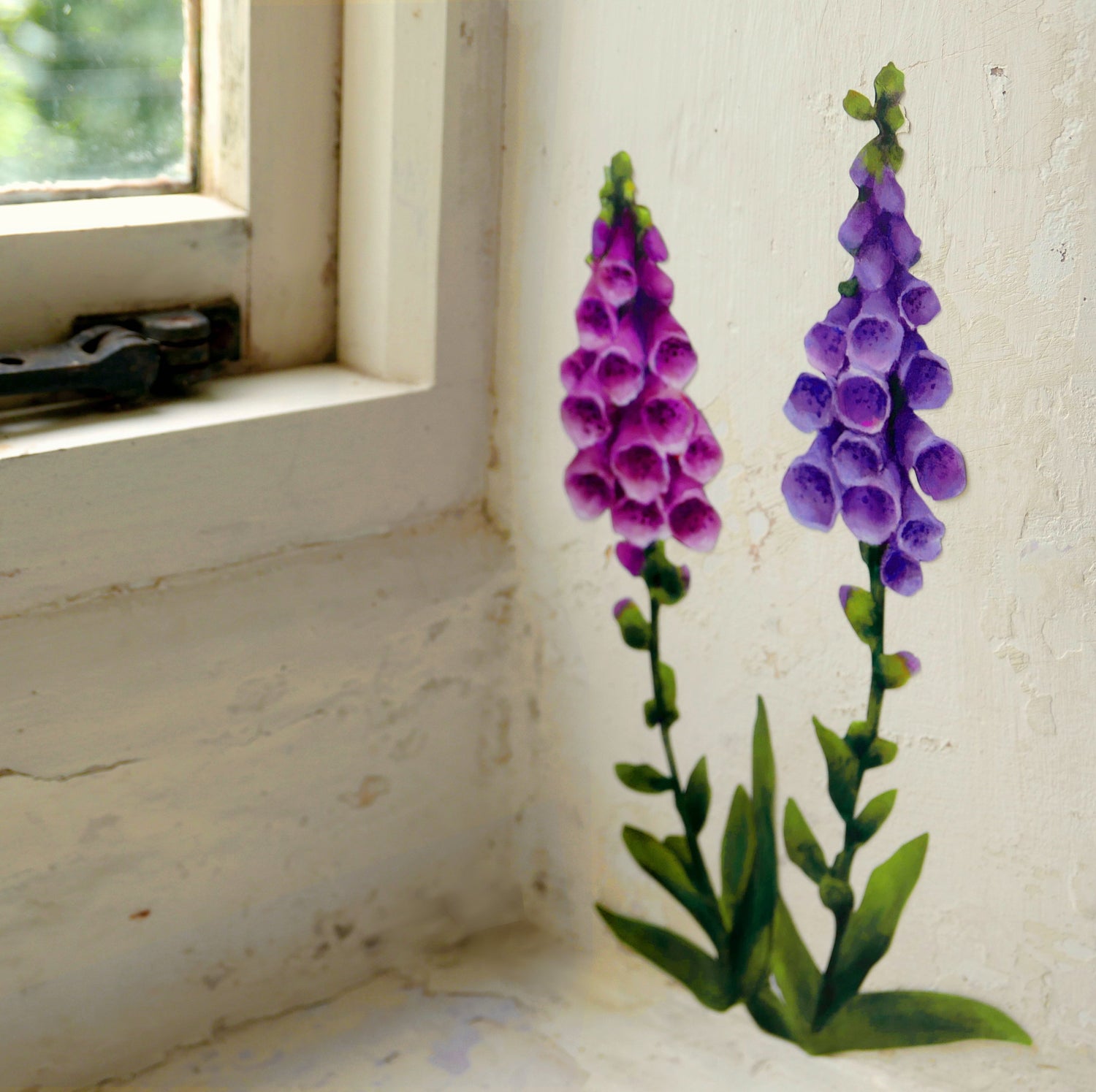 let your walls grow wild