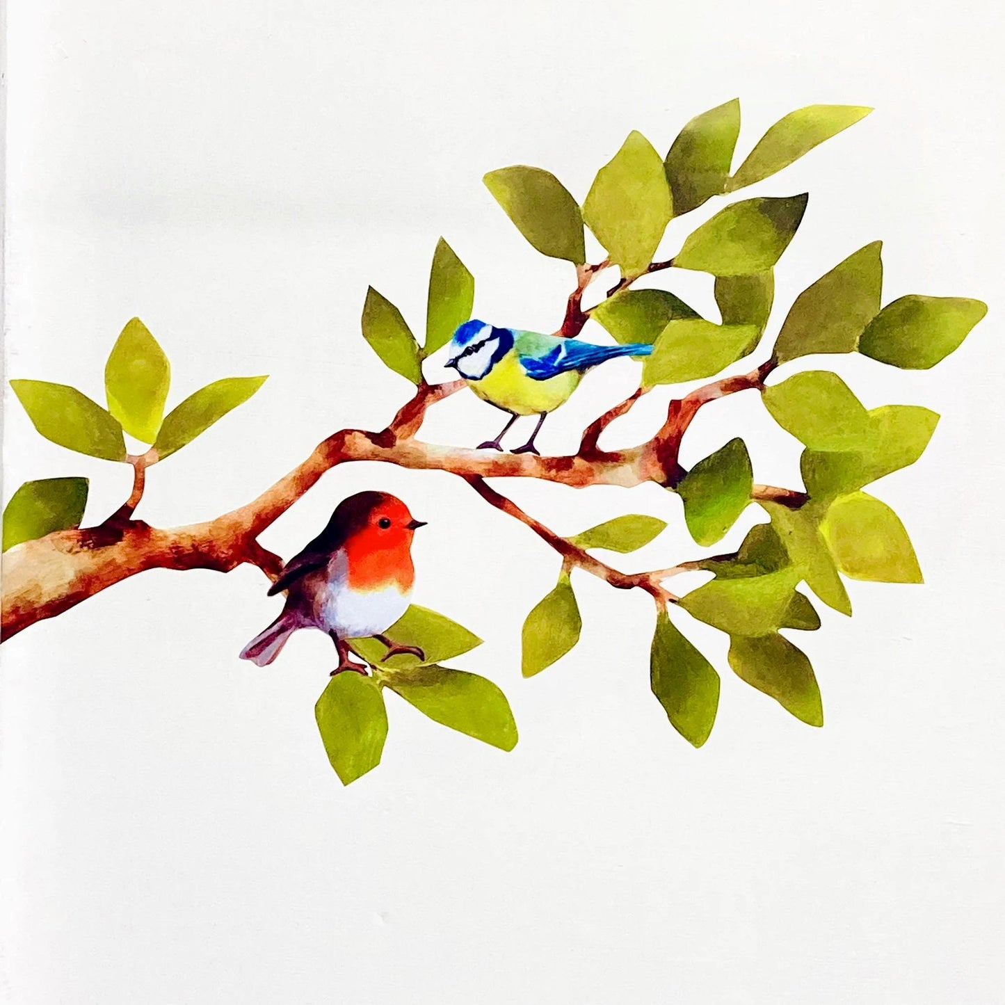 tree branch