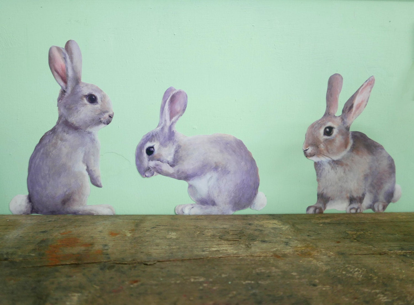 little rabbit washing