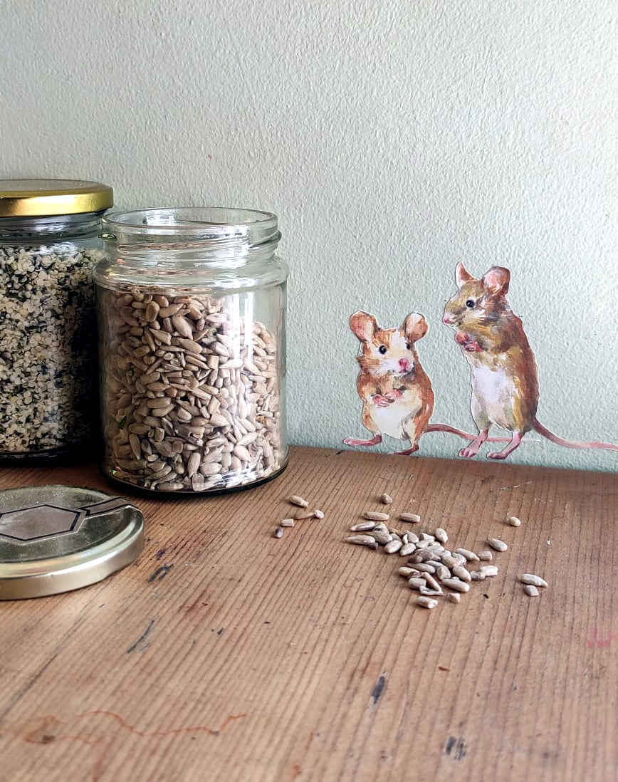 Glass jars with seeds on a wooden surface with hand painted mouse decals