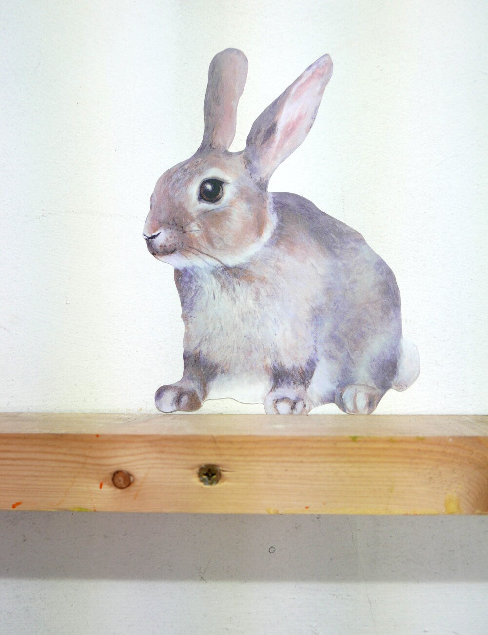 little rabbit sitting