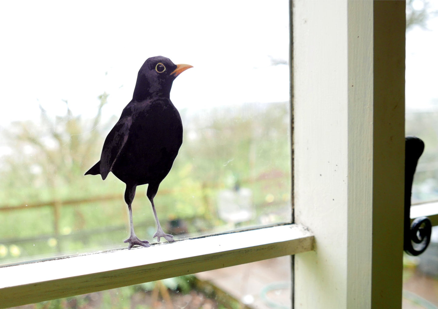 Blackbird Wall Sticker