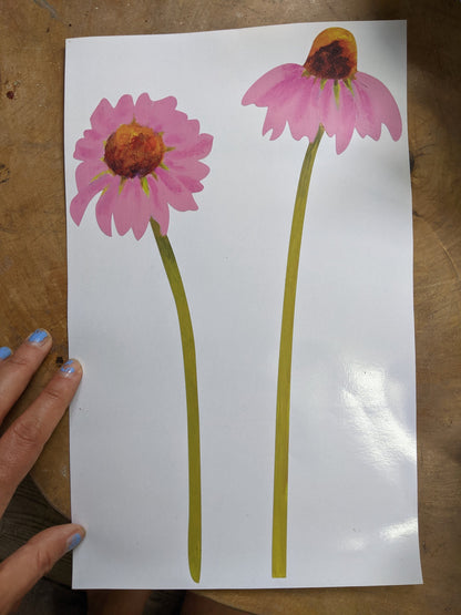echinacea flower