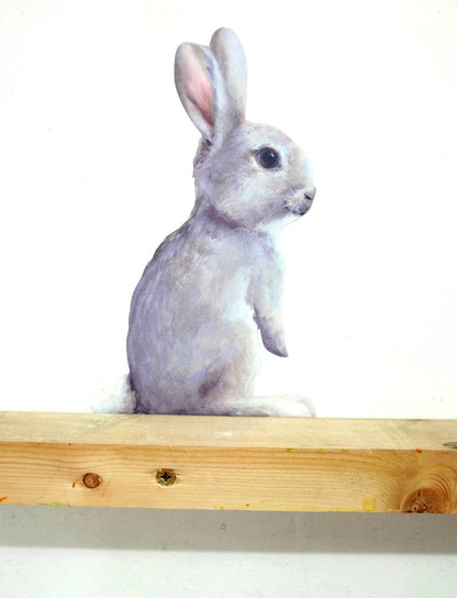 little rabbit standing