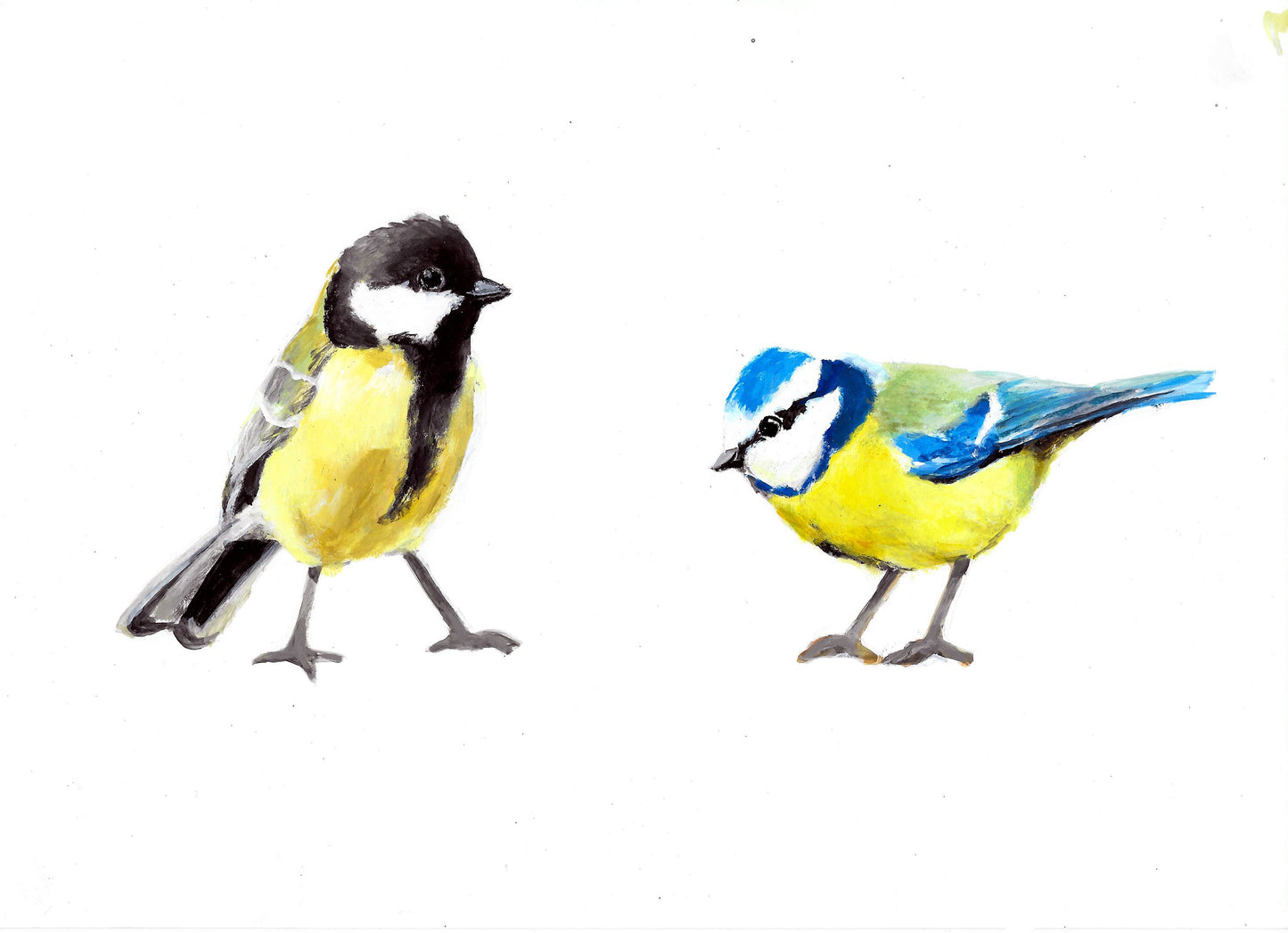 two little songbirds