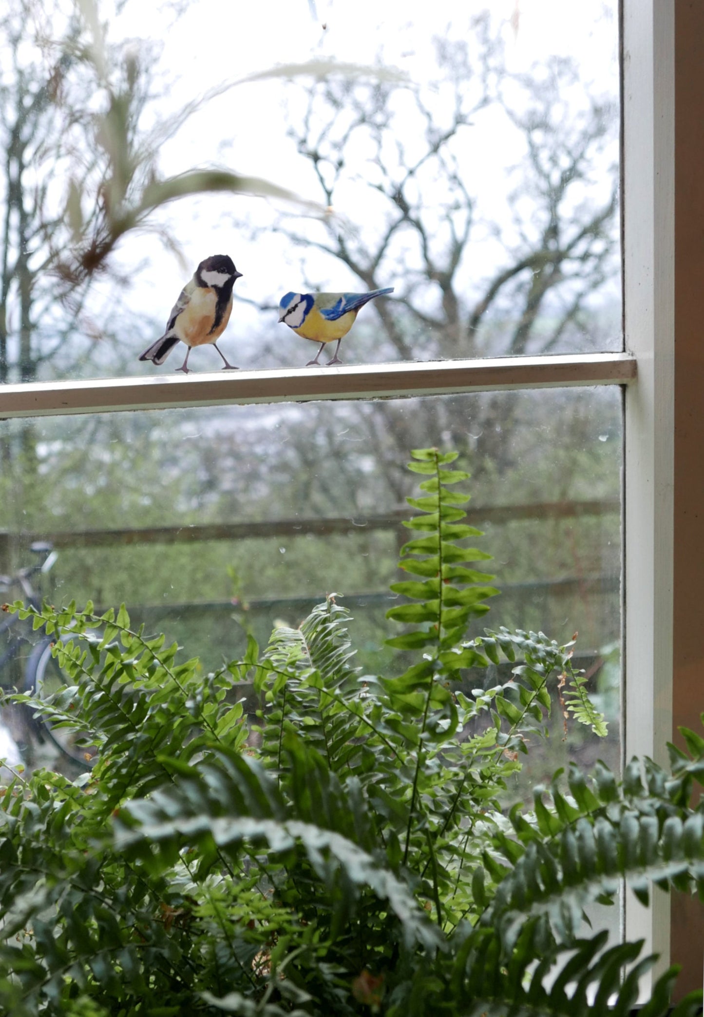 two little songbirds