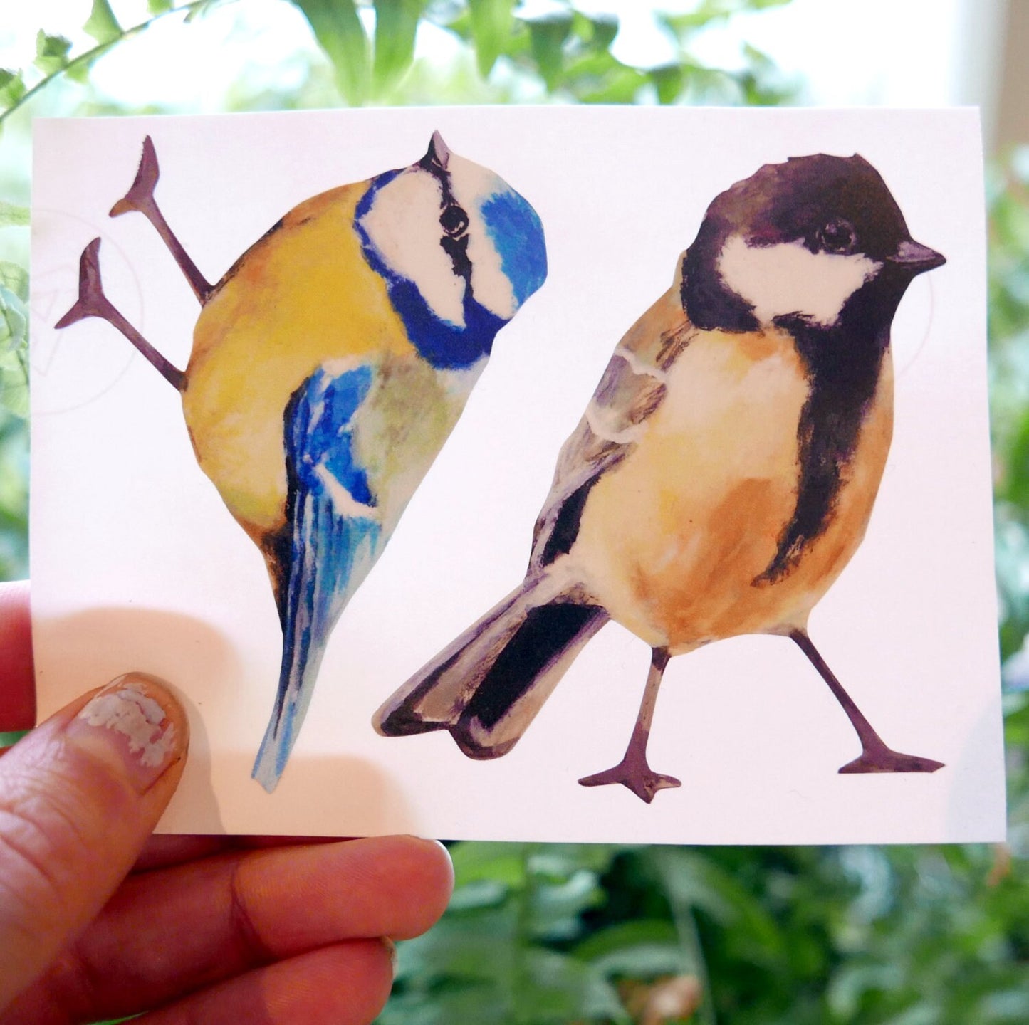 two little songbirds
