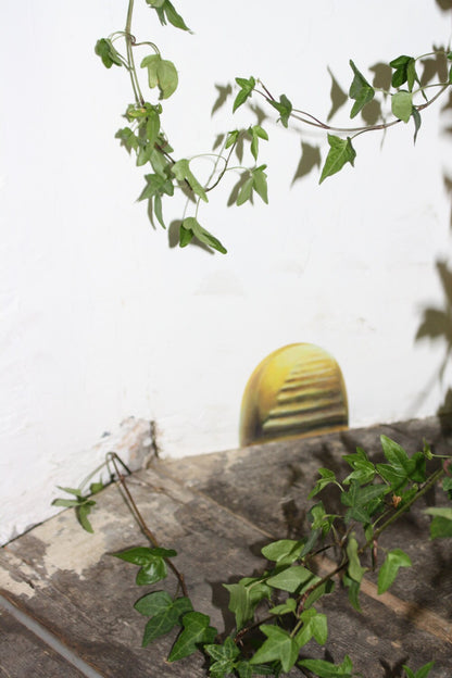 the stairs