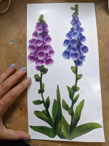 foxgloves
