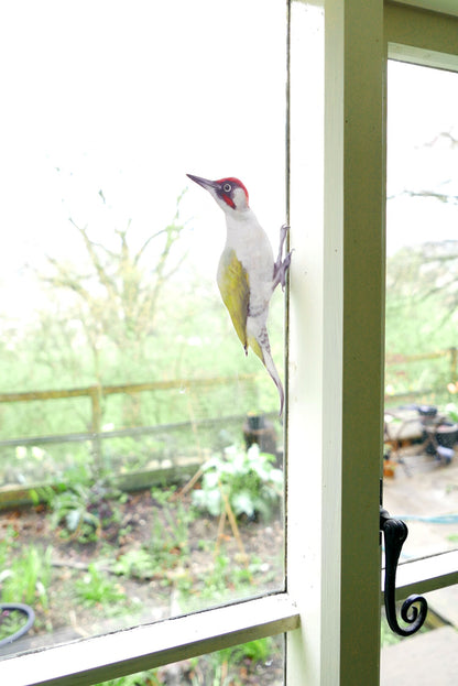 green woodpecker