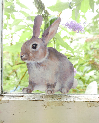 little rabbit sitting