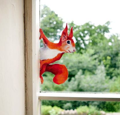 peeping squirrel