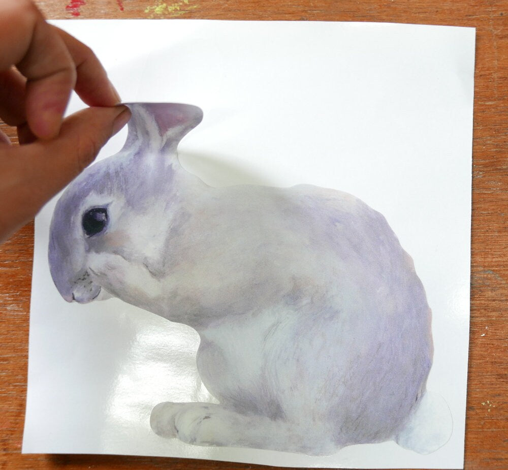 little rabbit washing