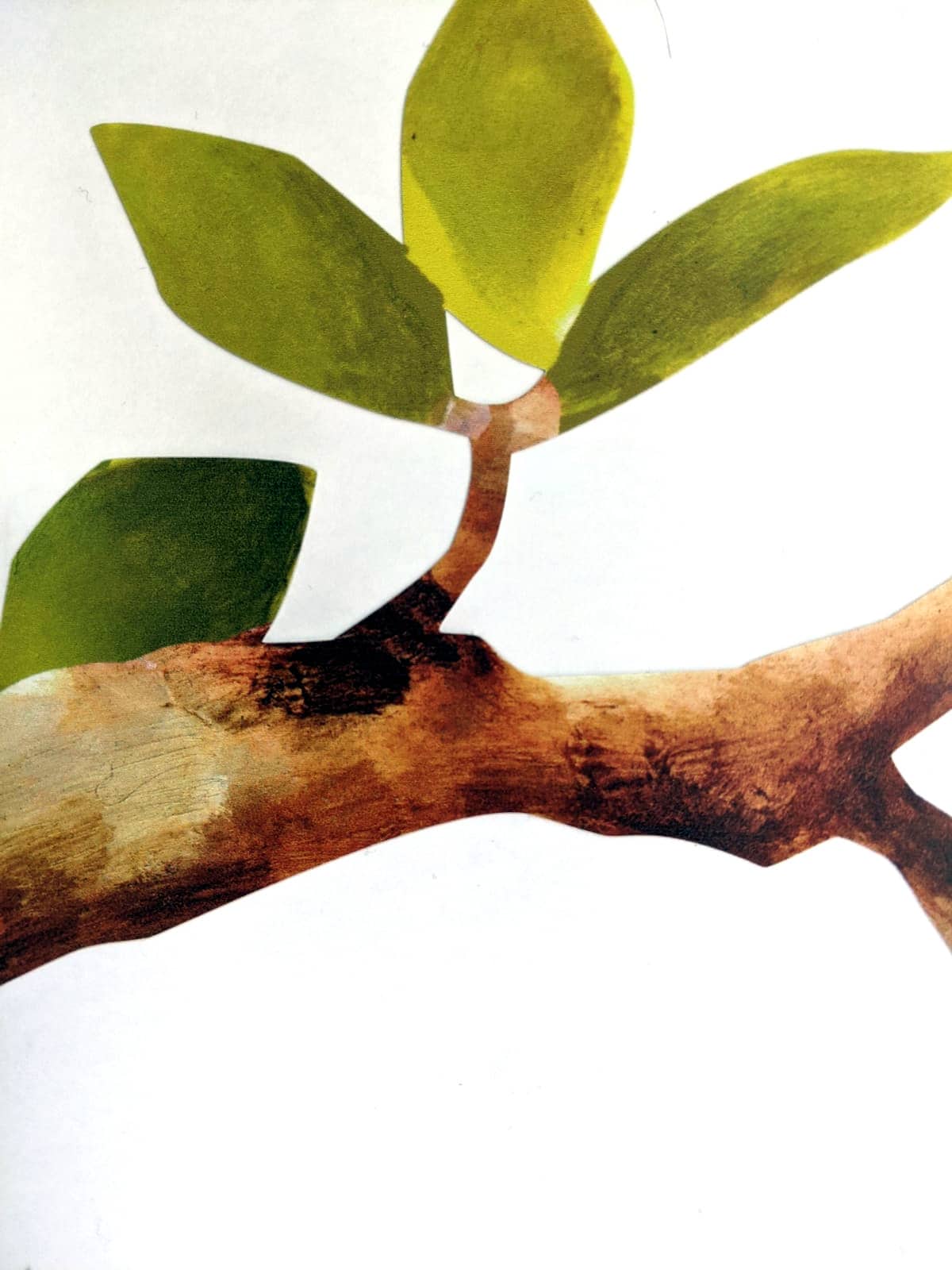 tree branch
