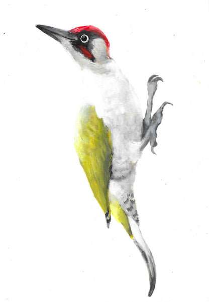green woodpecker