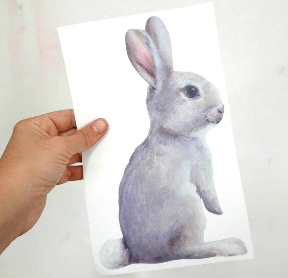 little rabbit standing