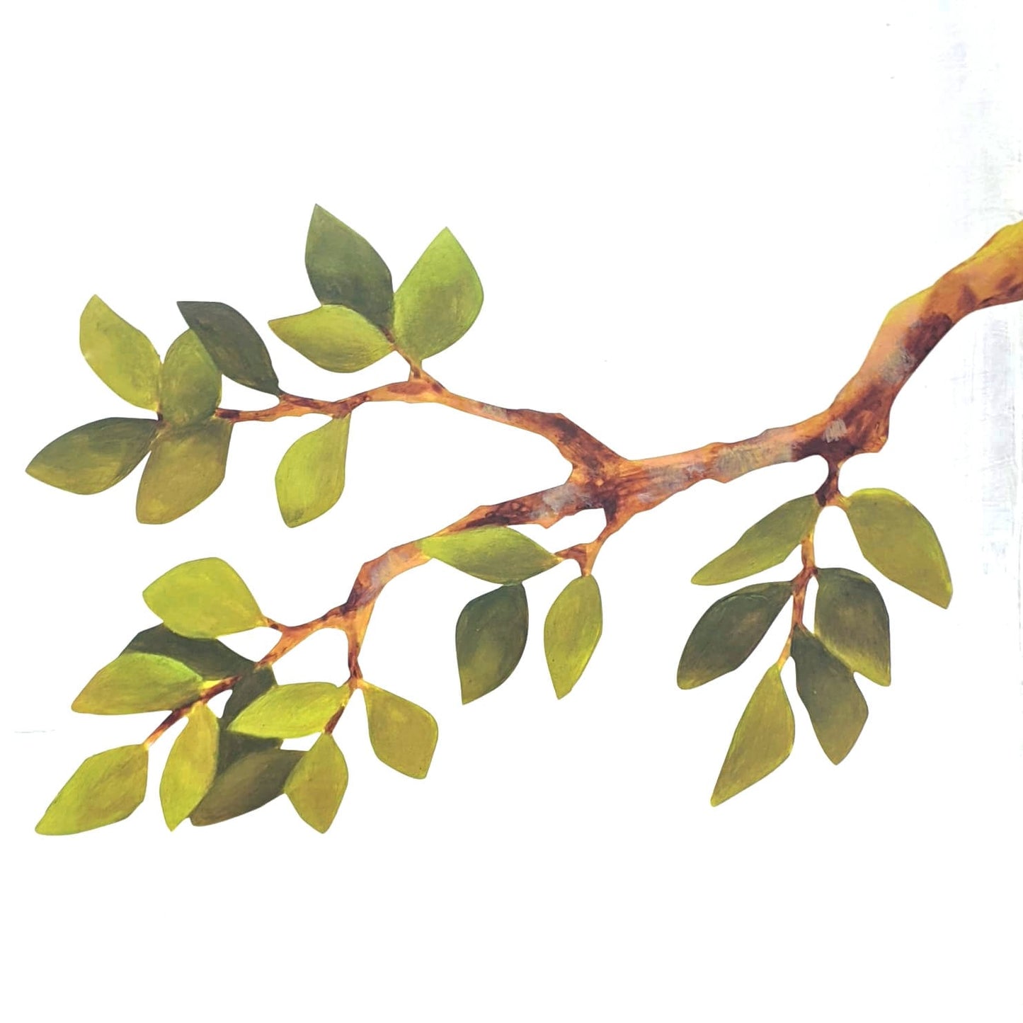 another tree branch