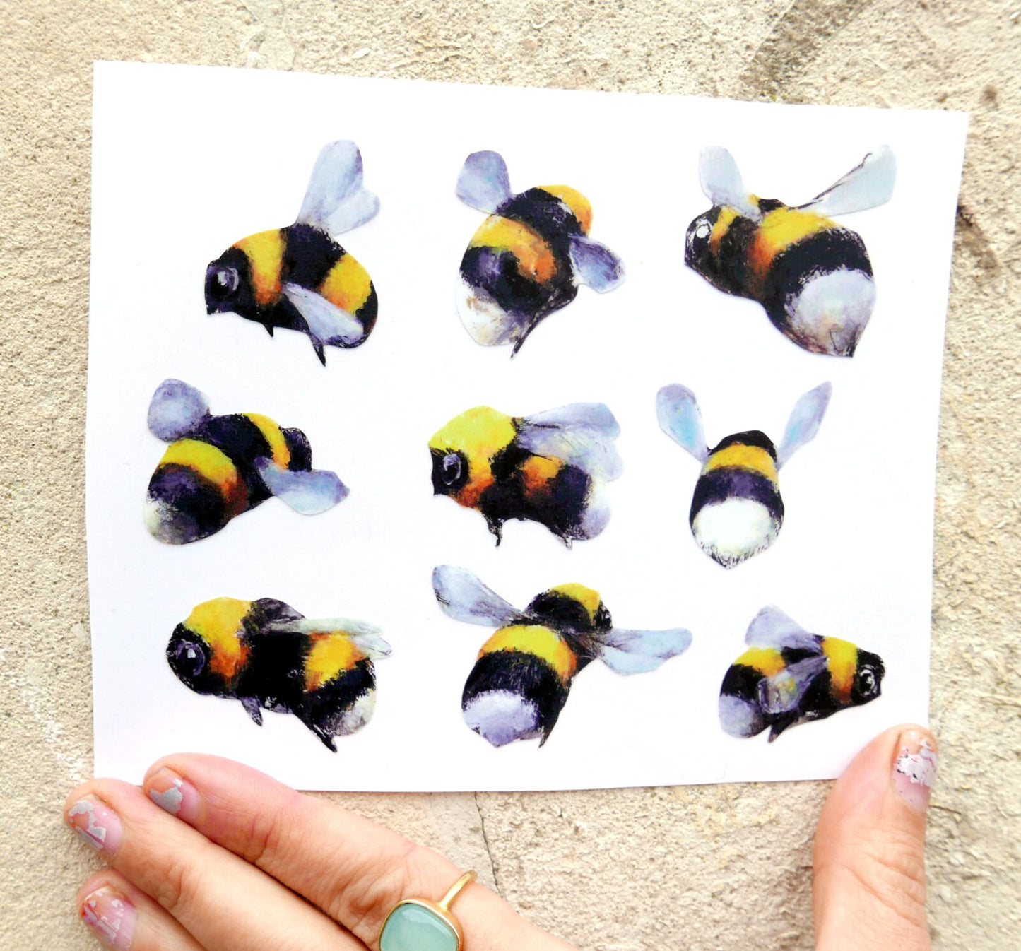 bees and a hive