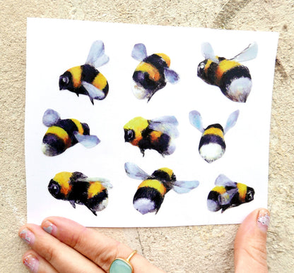 bees and a hive
