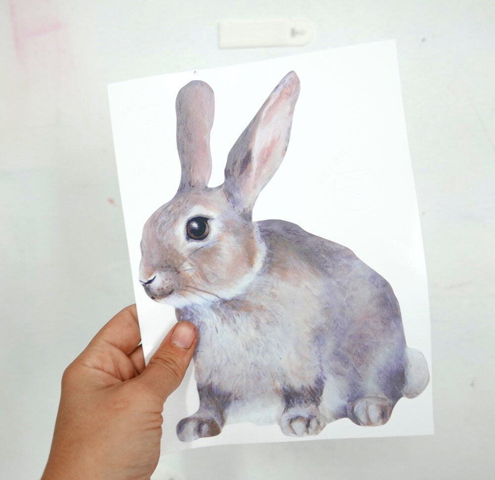 little rabbit sitting