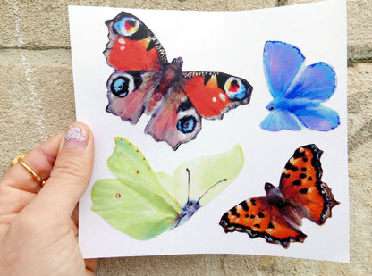 common british butterflies