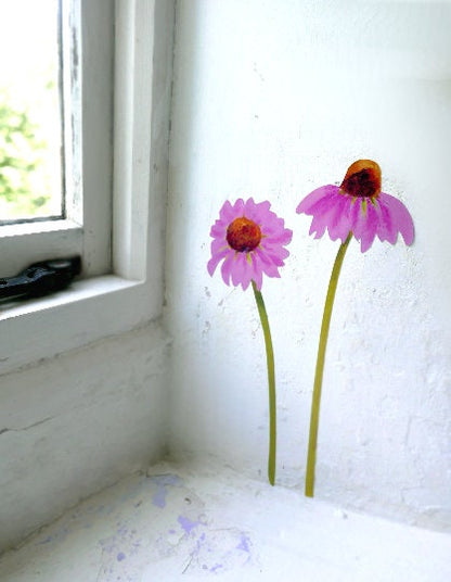 echinacea flower