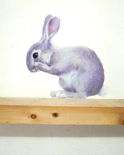 little rabbit washing