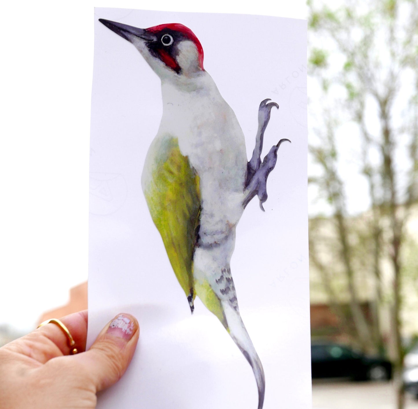 green woodpecker
