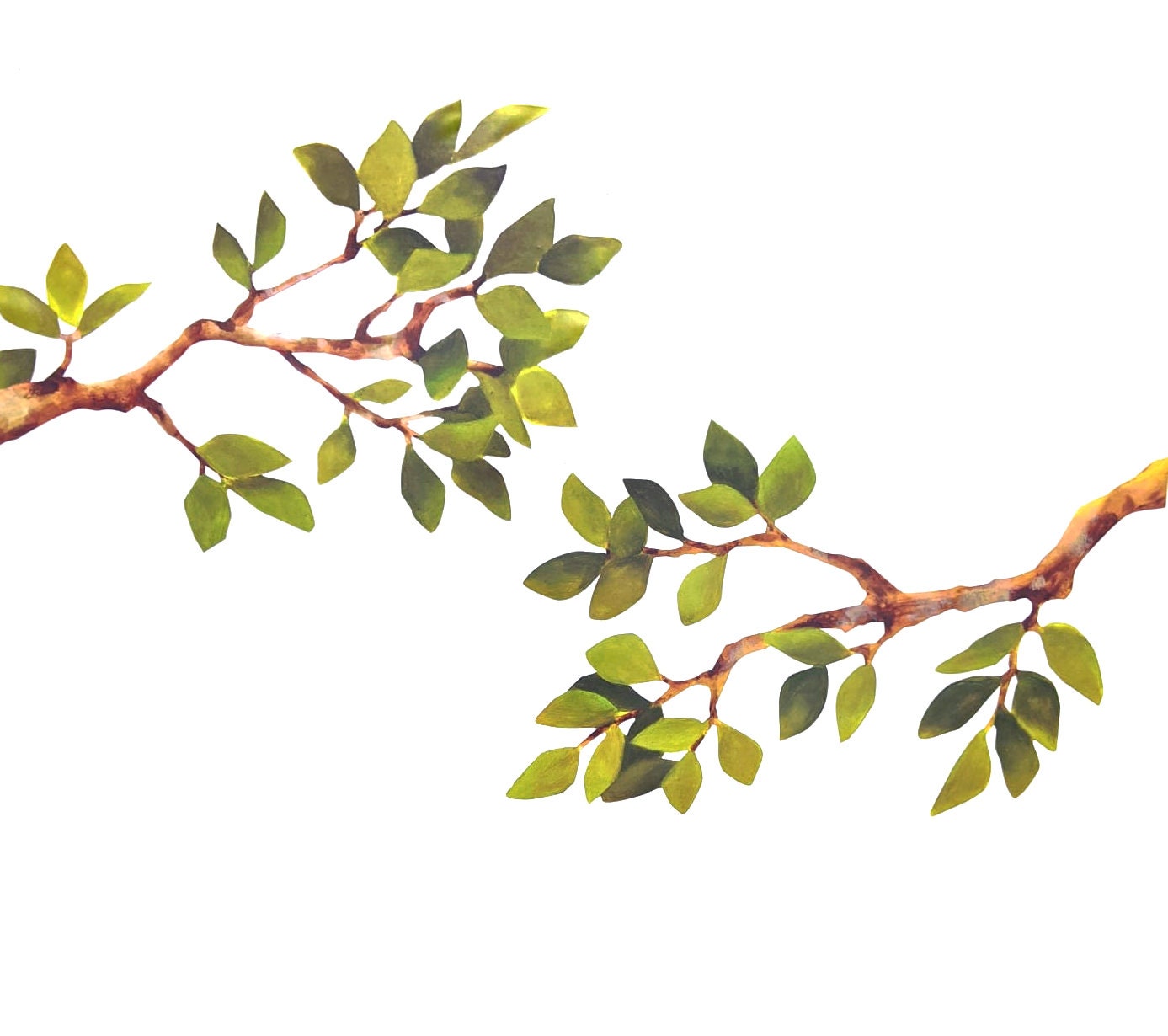 Artistic illustration of a branch with green leaves on a white background
