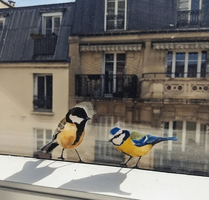 Two small bird decals perched on a window ledge with a blurred parisian building facade in the background.