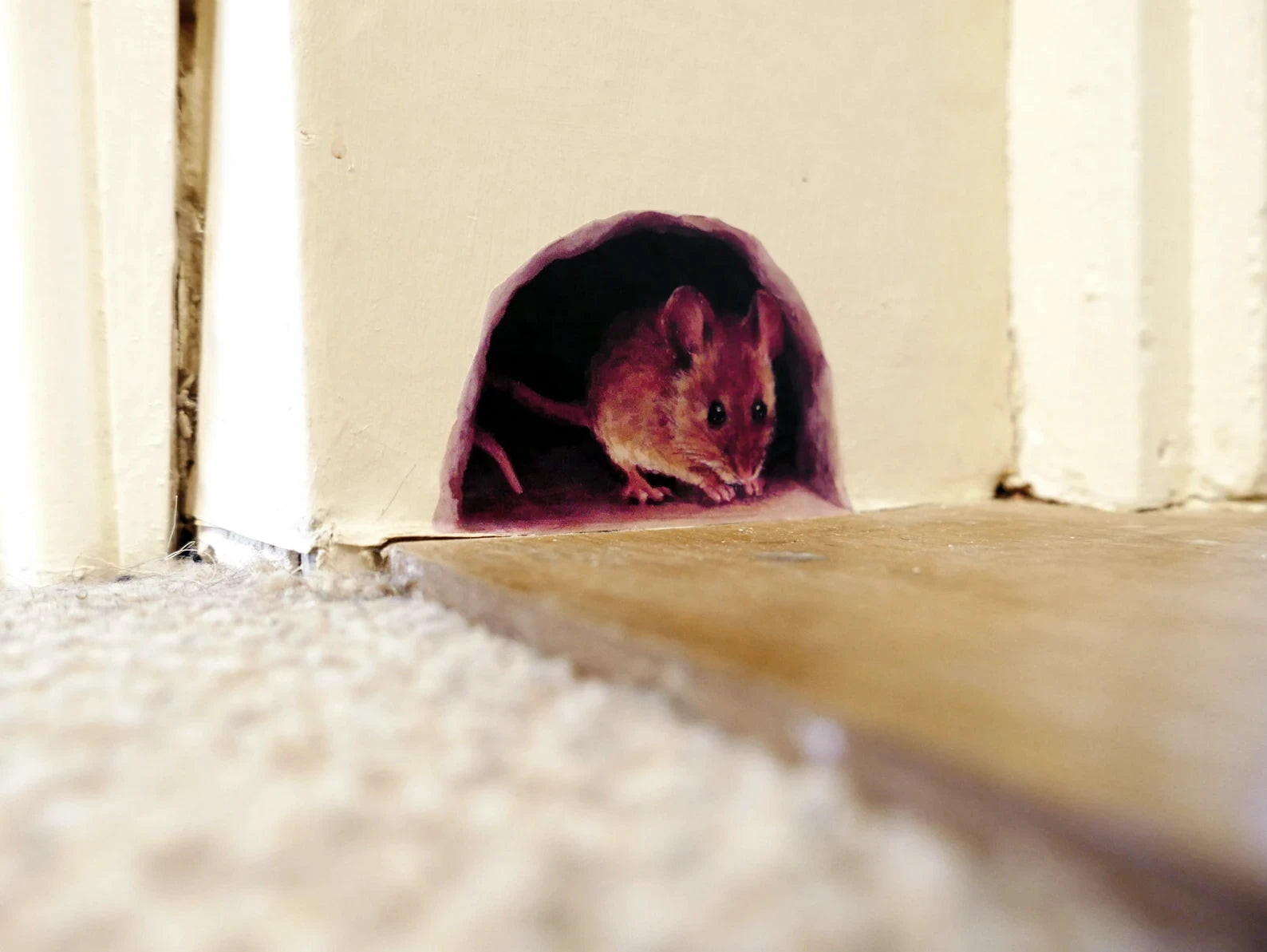 Mouse peeking out from a small opening in a wooden structure, fabric decal