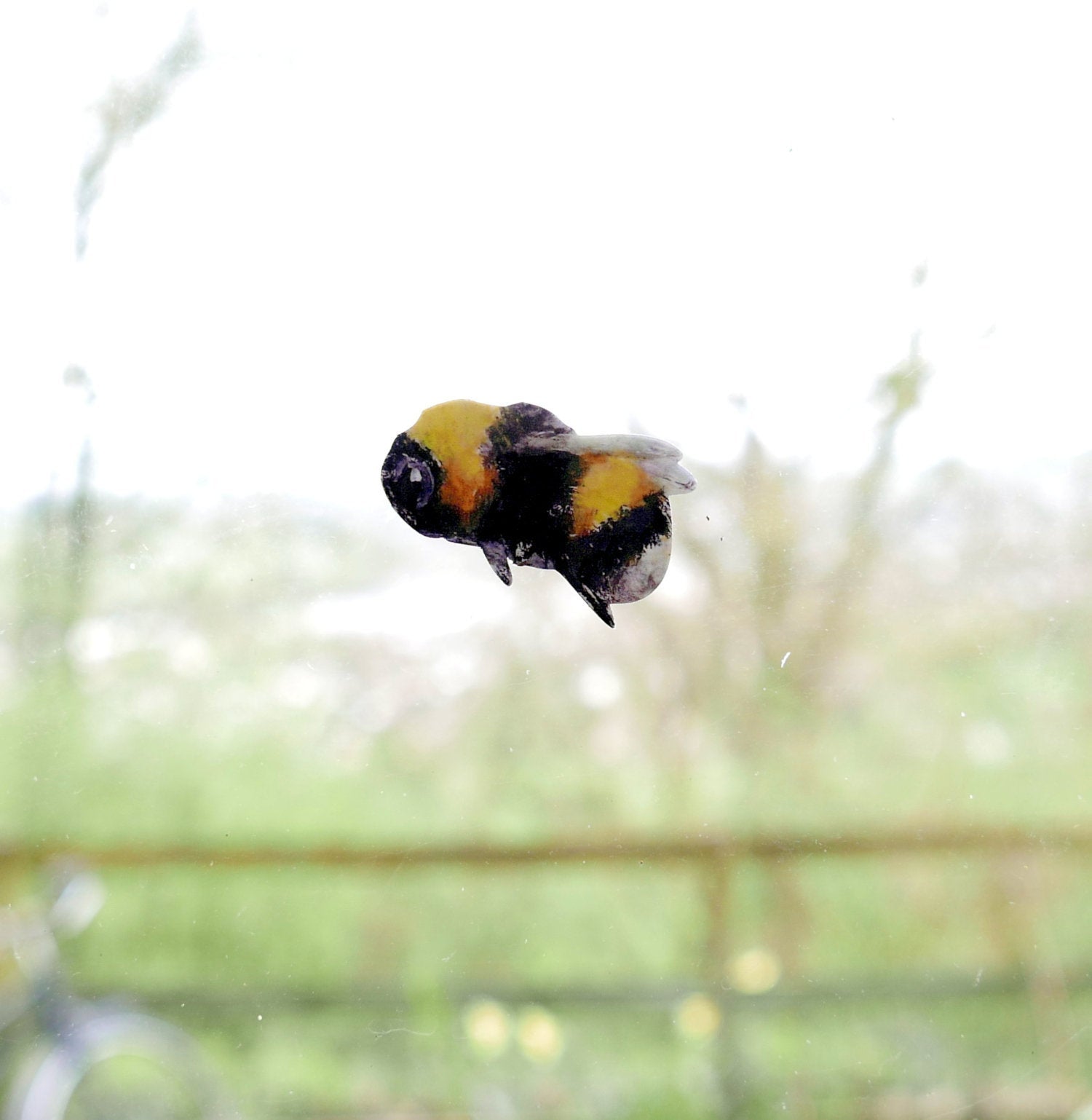 bumblebee decal on a window