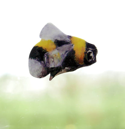 bees and a hive