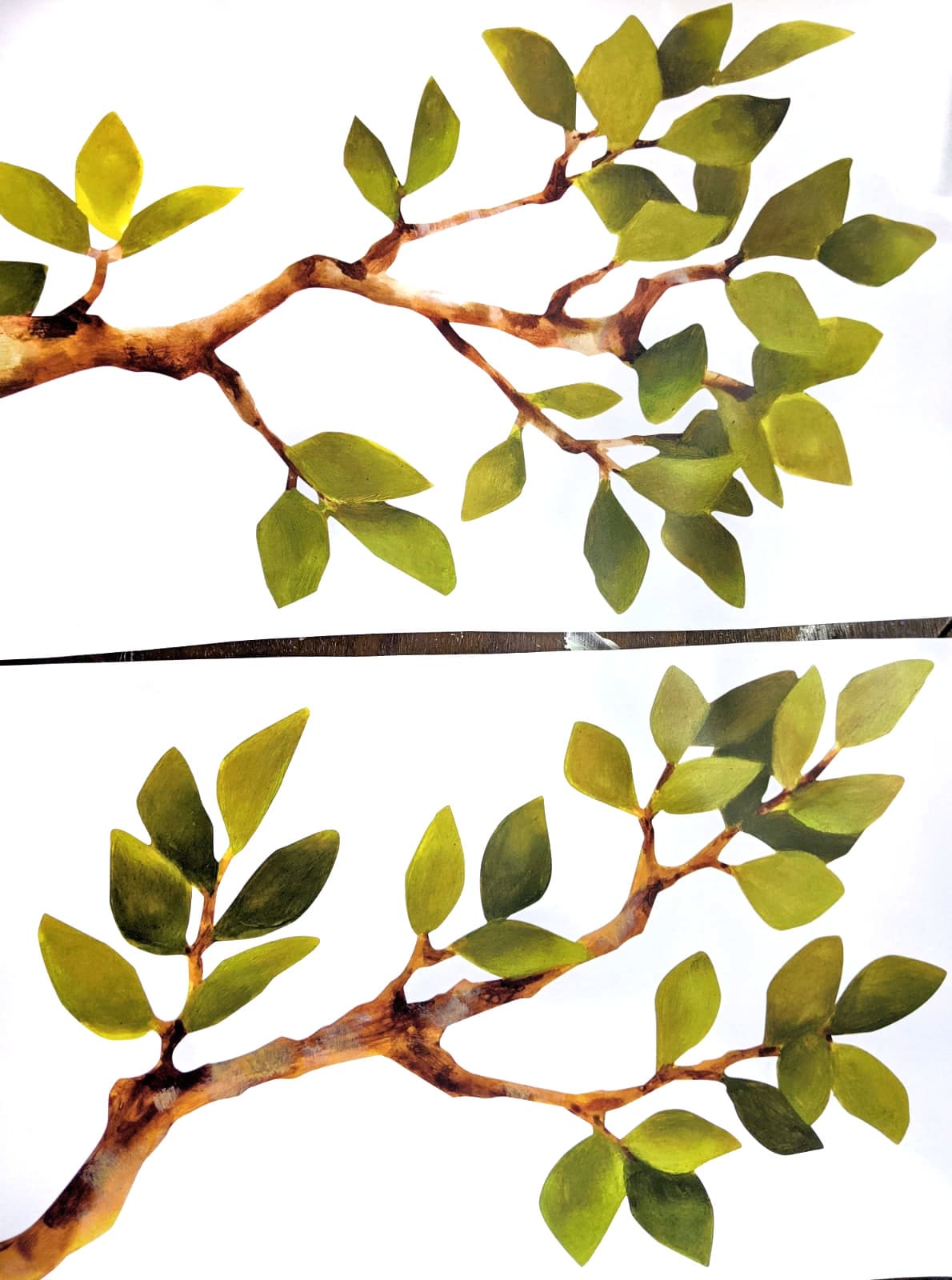 another tree branch