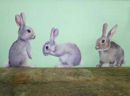 little rabbit sitting