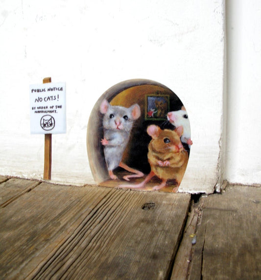 no cats!