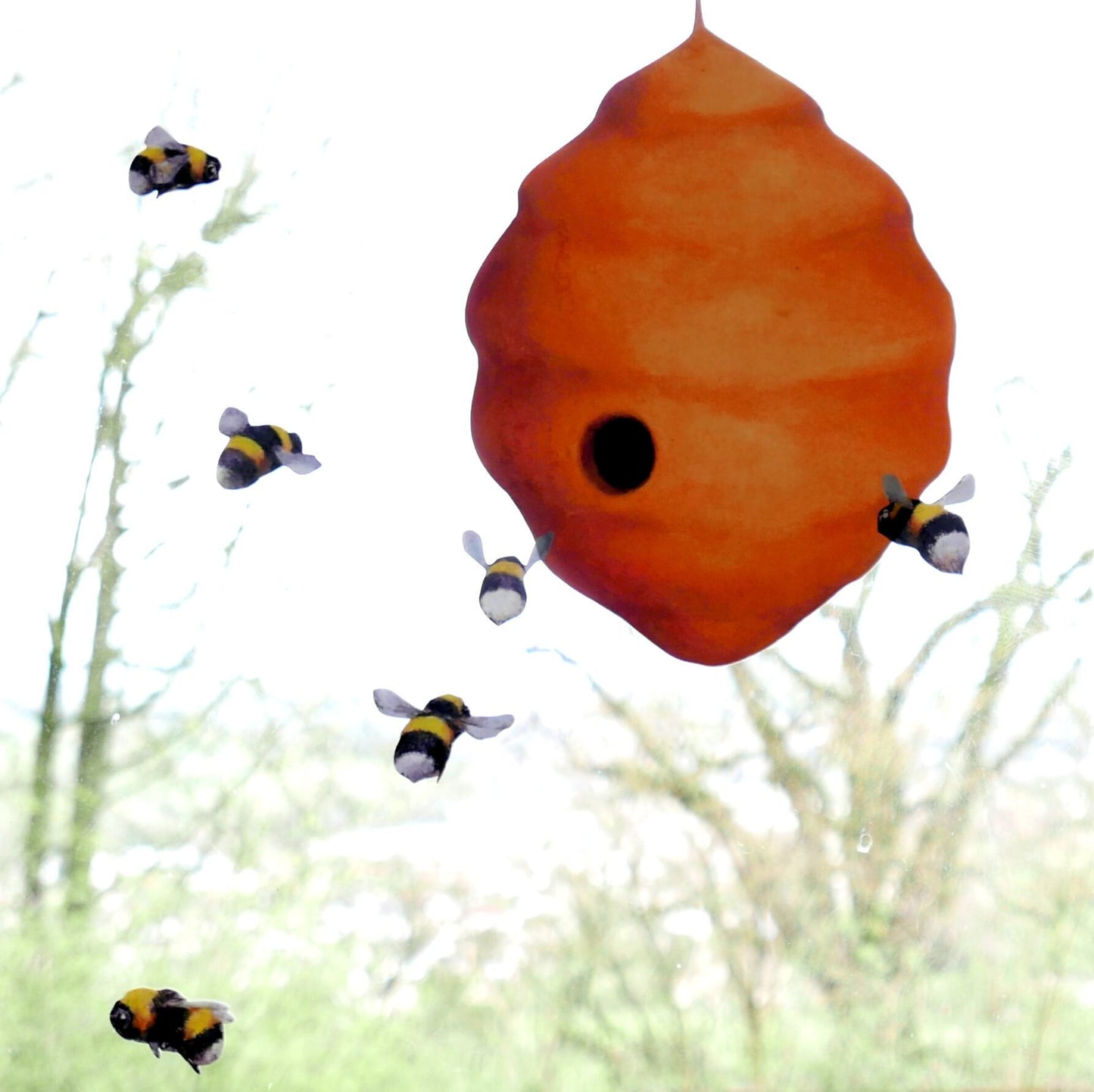 bees and a hive