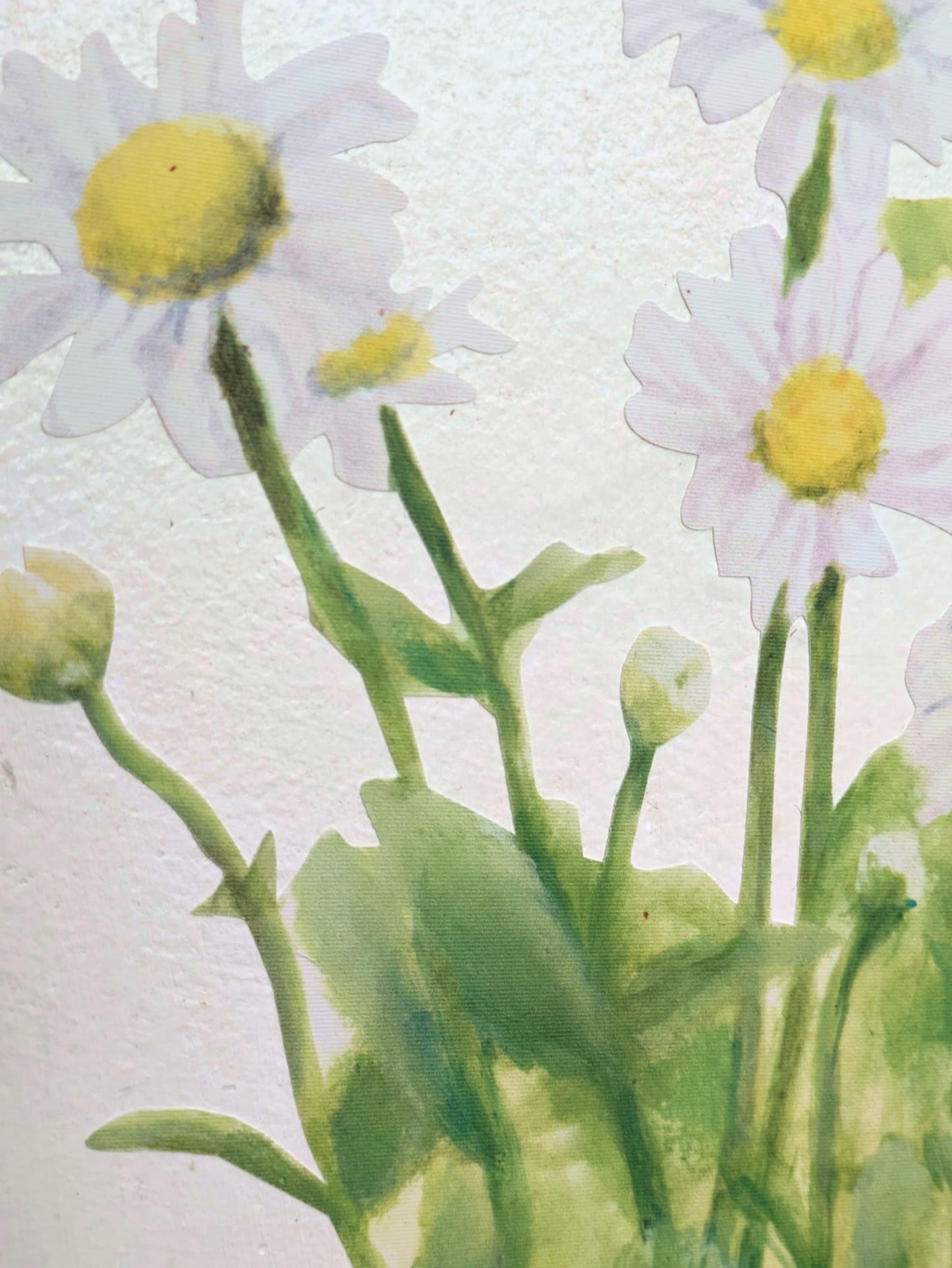 Daisies (oxeye) decal