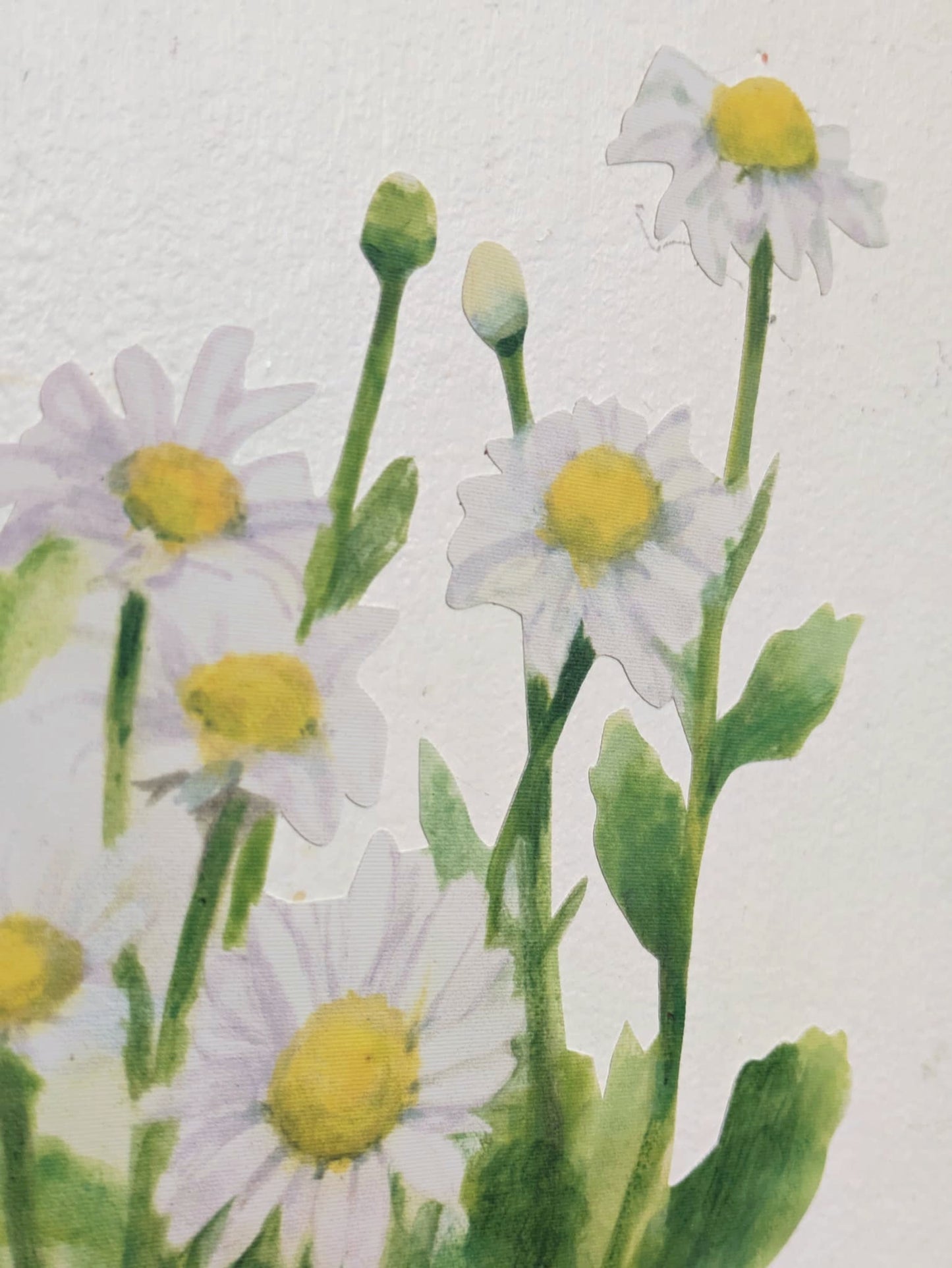decal of white daisies with yellow centers and green stems on a textured off-white background.