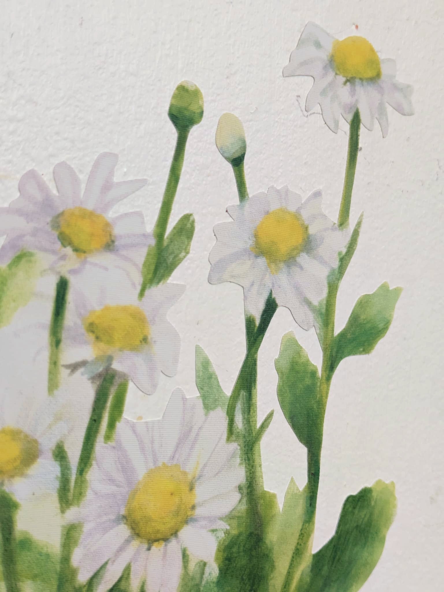 decal of white daisies with yellow centers and green stems on a textured off-white background.