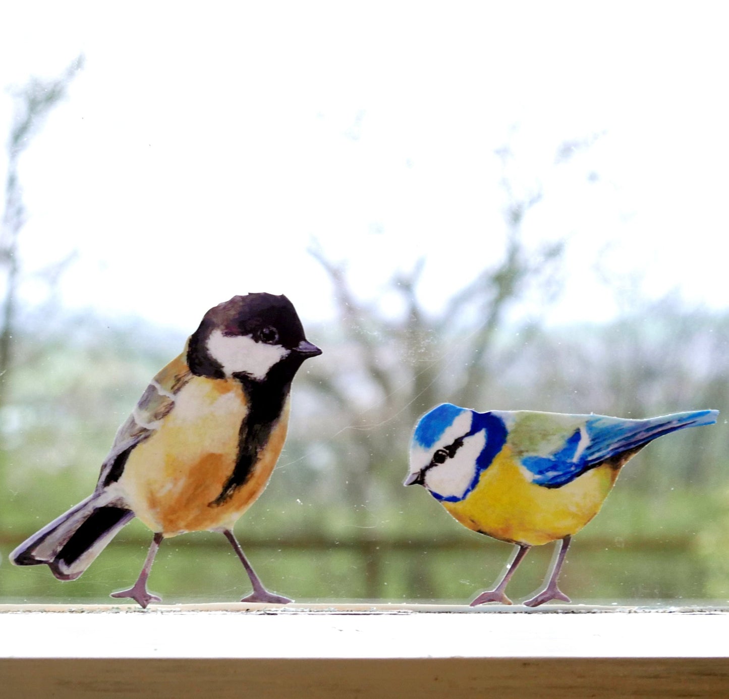two little songbirds