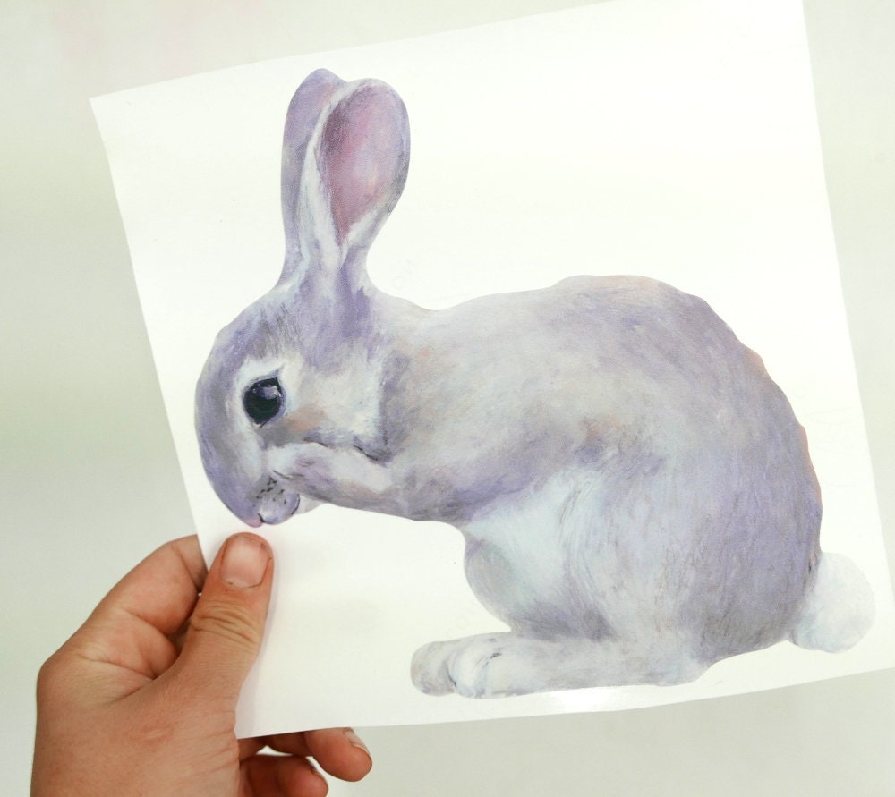 little rabbit washing