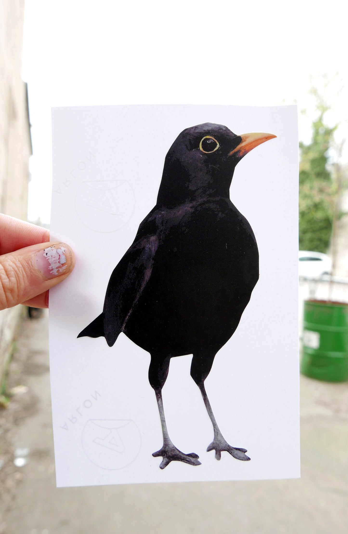 Blackbird Wall Sticker