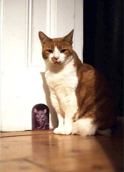 the classic mouse hole