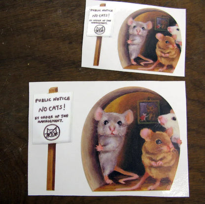 no cats!