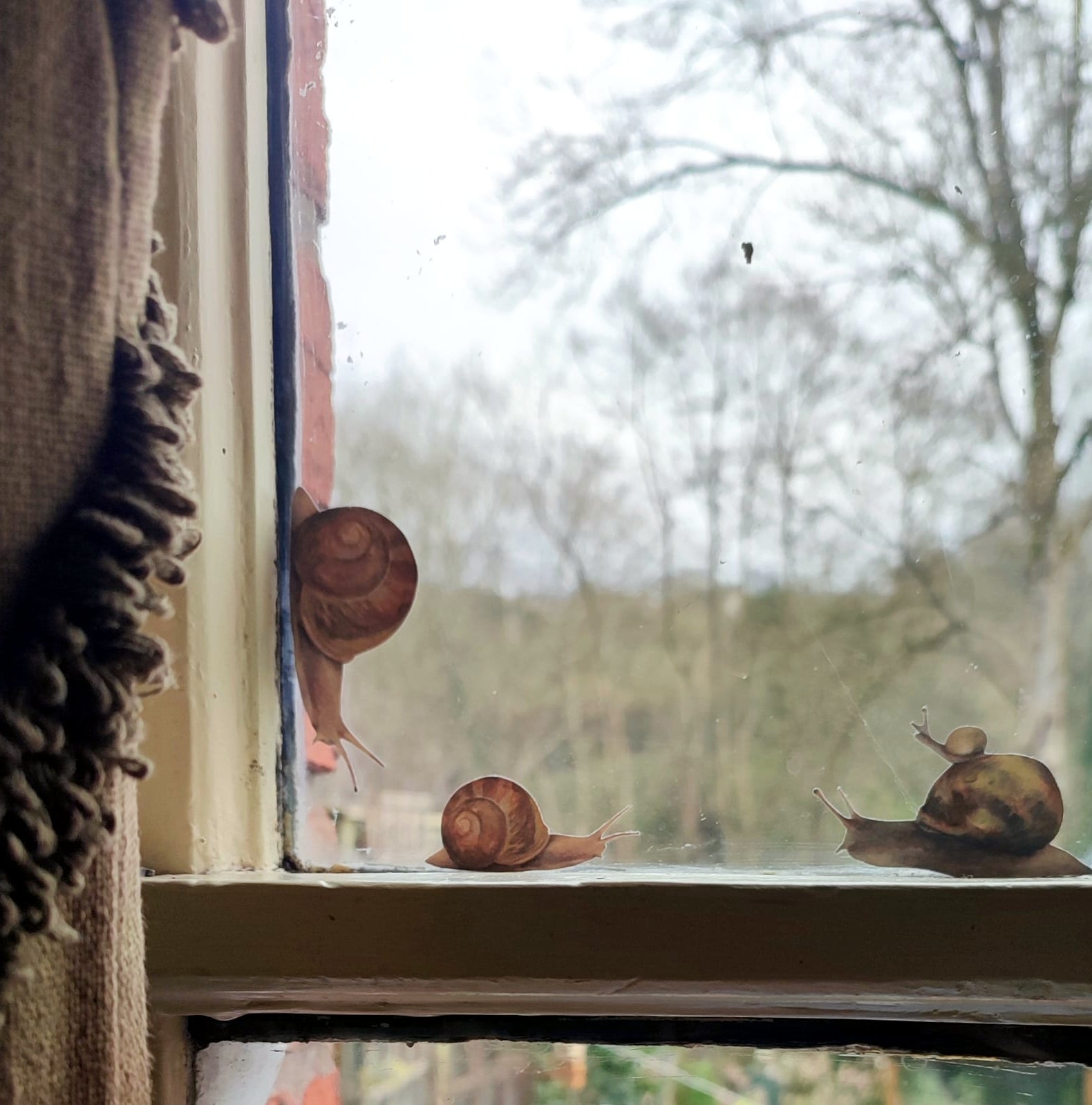 Three snail decals on a windowsill with a view of trees outside.