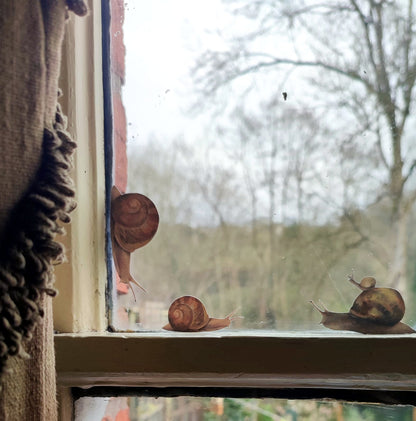Three snail decals on a windowsill with a view of trees outside.