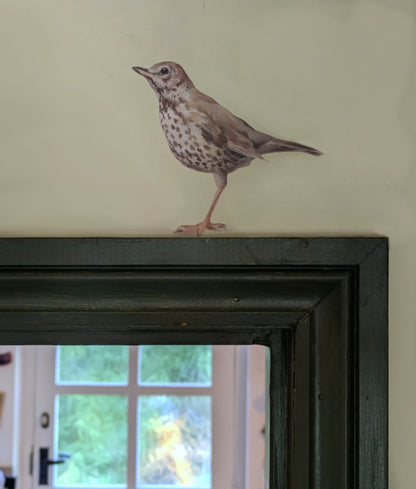 realistic song thrush bird decal perched on a door frame