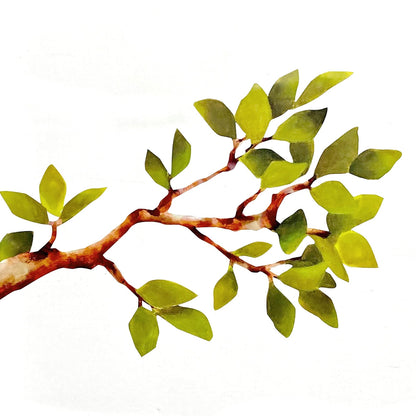 tree branch