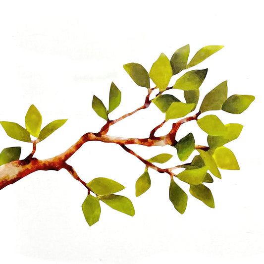 tree branch